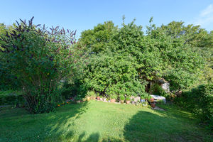 Garden- click for photo gallery